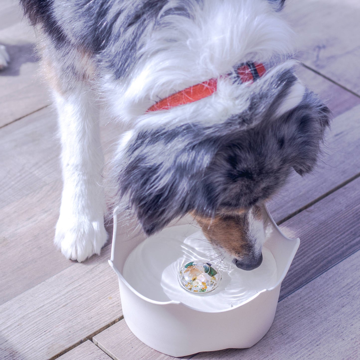 Gertuvė gyvūnams Pet Bowl CROWN JUWEL | natural white