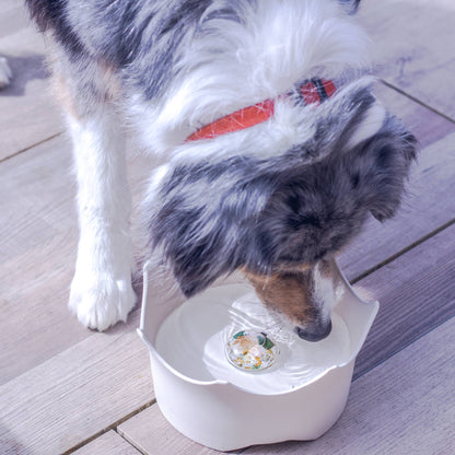 Gertuvė gyvūnams Pet Bowl CROWN JUWEL | natural white